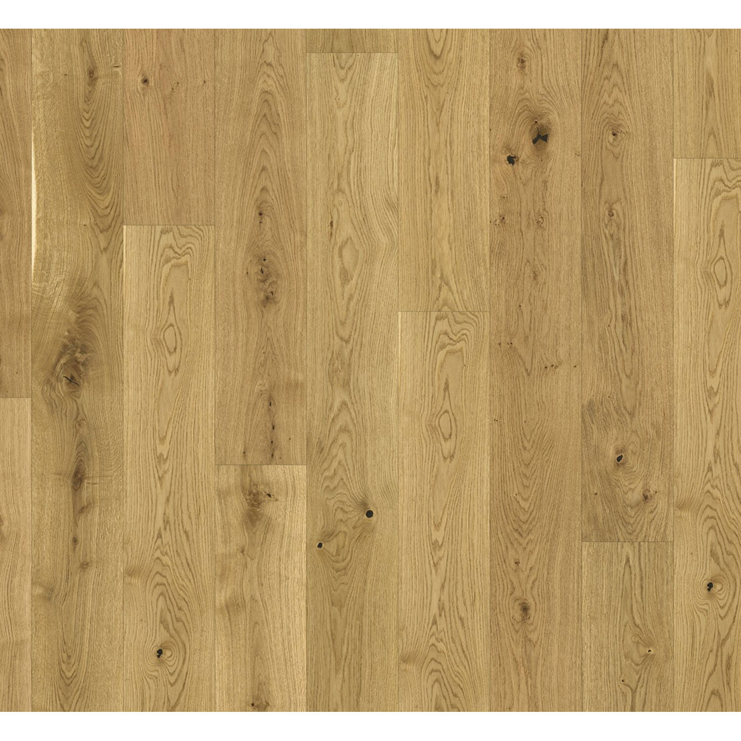 PARADOR Basic 11-5 eiken Rustiek Landh.Geolied